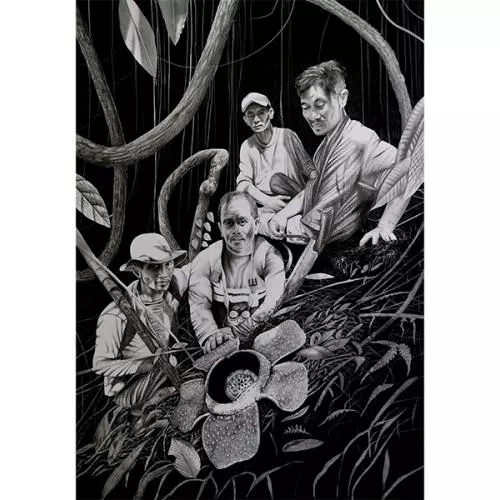 1 the banao indigenous community with rafflesia banaoana in kalinga luzon artwork by chris thorogood