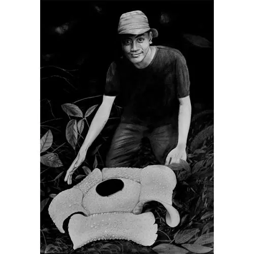 1 yog with rafflesia bengkuluensis sumatra artwork by chris thorogood