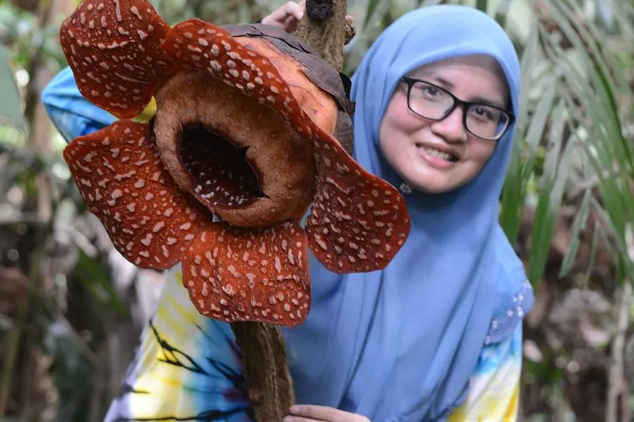 siti